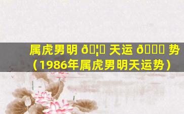 属虎男明 🦁 天运 🍁 势（1986年属虎男明天运势）